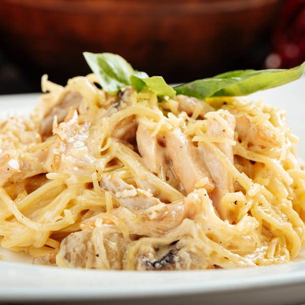 Creamy chicken pasta with mushrooms and basil, garnished with grated cheese on a white plate.